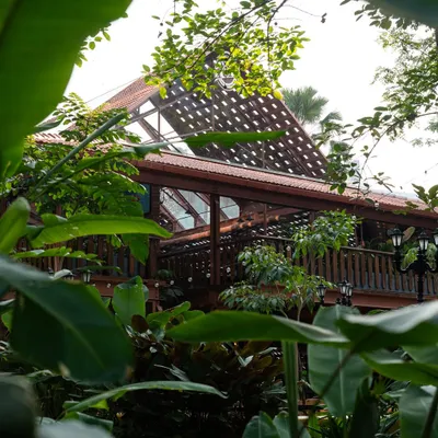 Peeking through the lush foliage, the Toit brewery reveals its warm, inviting structure, designed to feel like a natural extension of its green surroundings.