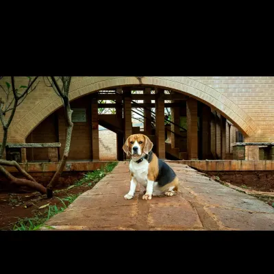 Here's Scamp, my beagle, looking like he owns the place in this exposed-brick building. This shot perfectly combines my love for architecture and my patience for uncooperative four-legged clients.
