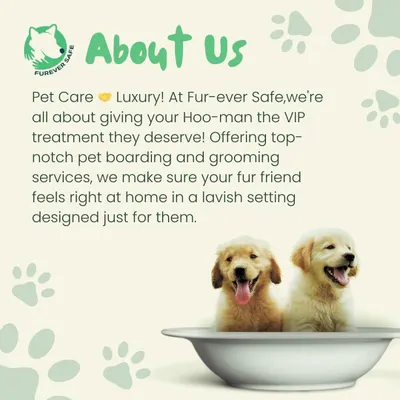 This is what we're all about. At Furever Safe, we believe in giving your best friend the VIP treatment they deserve with top-notch grooming services.