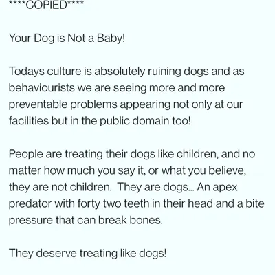 Your dog is not a baby. Treating an apex predator like a child is ruining dogs and creating preventable behavioral problems. They deserve to be treated like the magnificent animals they are.