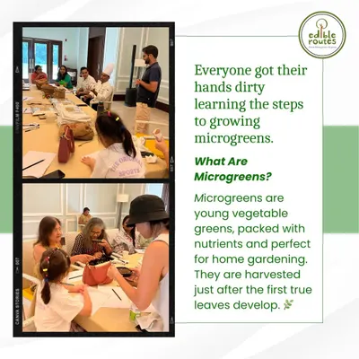 Participants getting their hands dirty at our microgreens workshop. We provide step-by-step guidance, making it easy for anyone to start growing these nutrient-packed greens at home.