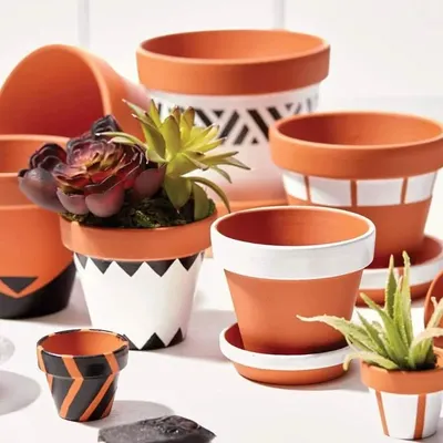 I'm excited to introduce my new collection of hand-painted earthen planters. These eco-friendly terracotta pots are available in various sizes and designs, or you can buy them plain to paint your own masterpiece.
