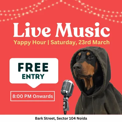 Yappy Hour is the best hour! We hosted a live music jam session with free entry, perfect for a Saturday night with your dog.