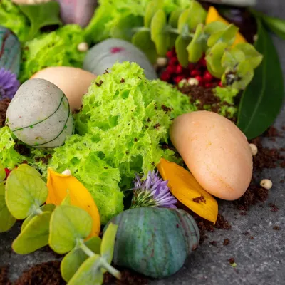 Looks can be deceiving. This dessert, which looks like a collection of pebbles in a garden, is actually an assortment of chocolate and hazelnut petit fours with pistachio sponge and chocolate soil.