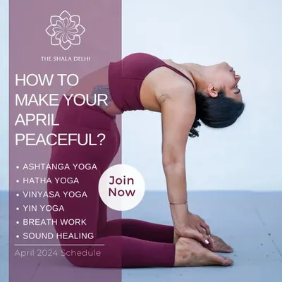 A sample of our diverse monthly schedule. We offer a range of classes including Ashtanga, Hatha, Vinyasa, and Yin, alongside special workshops like breathwork and sound healing to help you find peace.