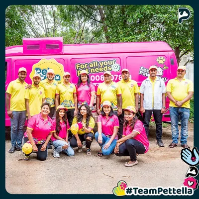 Meet the whole crew! This is Team Pettella, a group of dedicated pet lovers who work hard every day to make our services special. From our founders to our drivers and groomers, we all share a passion for animals.