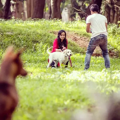 A perfect example of a relaxed outdoor couple and pet photoshoot in Bangalore's Cubbon Park. Instead of directing them, I just followed their lead as they played. This candid approach results in authentic lifestyle photos that truly reflect their connection.