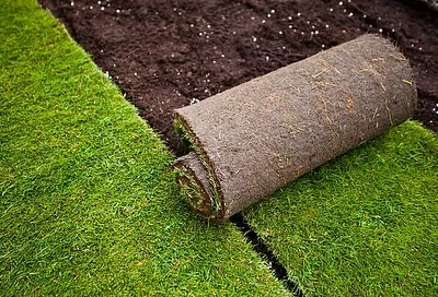 Getting a perfect lawn is easy with my carpet grass service. This image shows a roll of fresh, healthy turf grass ready to be laid, providing an instant green solution for your garden.