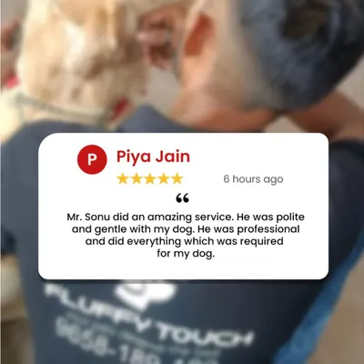 We love getting feedback like this from Piya Jain! Our groomer, Sonu, is known for his polite, gentle, and professional approach, ensuring every dog gets the exact care they need.