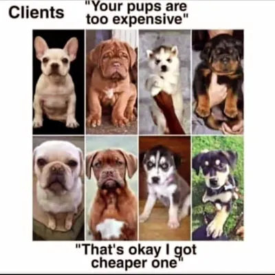 This image explains my philosophy perfectly. A cheap puppy is not a good deal. It is often a sign of poor breeding and future health issues. I offer top-quality dogs because I believe in doing things the right way.