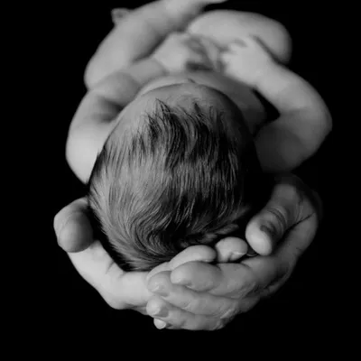 Cradled in loving hands. This powerful black and white newborn portrait emphasizes how small and precious your baby is, creating a deeply emotional and artistic photograph.