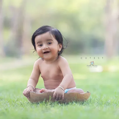 The "baby in a bowl" shot is a classic for a reason. It perfectly showcases a baby's sweet, compact form in a simple, organic way.