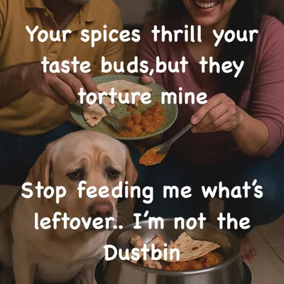 Your delicious, spicy food can be harmful to me. Feeding me leftovers from your plate can cause digestive issues and health problems. I need a balanced diet designed for a dog, not to be treated like a dustbin for human food.