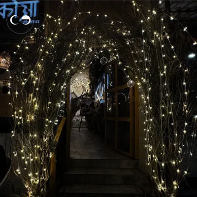 A magical entrance created for a Diwali celebration at a cafe. The archway, made of natural branches wrapped in thousands of fairy lights, created an enchanting welcome for guests.