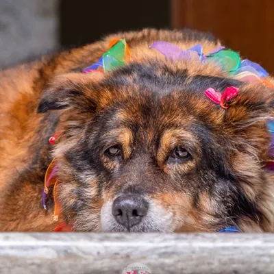 This senior girl shows that style has no age limit. A simple studio setup allows her fabulous personality and colorful accessory to be the star.