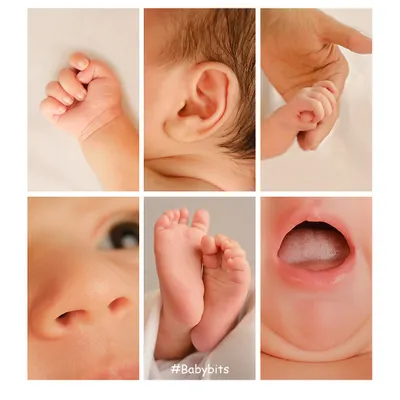 We believe the little things are the big things. This collage showcases our focus on capturing those fleeting details: tiny fingers, perfect ears, and button noses that you'll want to remember forever.