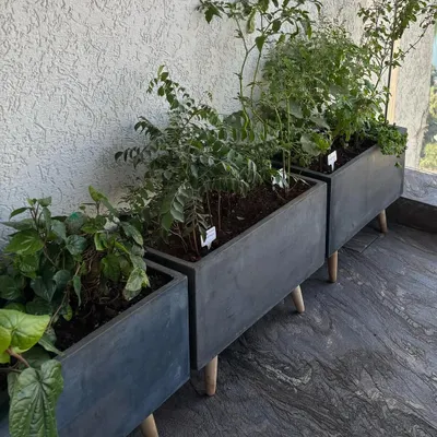 These modern, elevated planters are perfect for a balcony herb and vegetable garden, keeping plants at a convenient height for care and harvesting.
