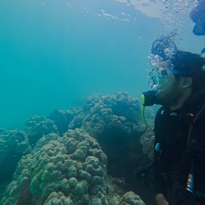 Exploring the vibrant coral reefs together. This shot captures the groom-to-be scuba diving, showcasing the adventurous spirit of an underwater pre-wedding shoot.