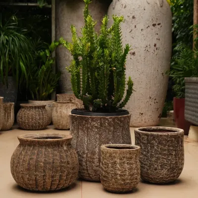 This is a handpicked collection of some of my favorite decorative rustic pots. The variety in texture, shape, and size, including the very tall urns in the background, shows the range available to create a layered, vintage look.