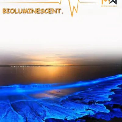 Did you know Mattu Beach in Mulki is bioluminescent? I take you to witness this magical natural phenomenon where the waves glow in the dark.