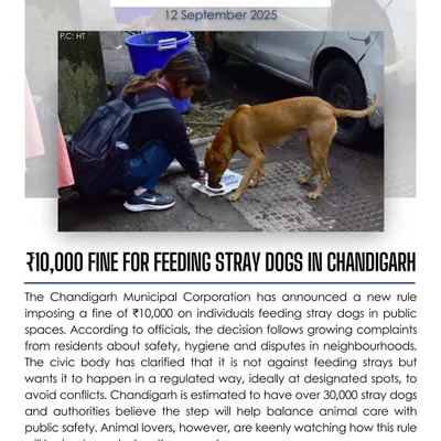 Chandigarh's Municipal Corporation has imposed a ₹10,000 fine for feeding stray dogs in non-designated public spaces. This move aims to balance animal care with public safety, but its implementation will be watched closely by animal lovers.