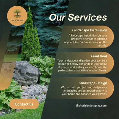 An overview of our core services. We provide comprehensive landscape design, professional installation of plants and hardscapes, and a plant rental service for events or temporary needs.
