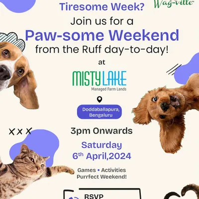 We partner with other beautiful venues to bring our paw-some events to more people. This poster announces a weekend event at Misty Lake, showing our flexibility in organizing pet-friendly activities across different locations.