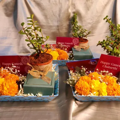 Ganpati Bappa Morya. I was delighted to create these hampers for Ganesh Chaturthi darshan, including a plant, a box of modaks, dhoop sticks, and fresh flowers.