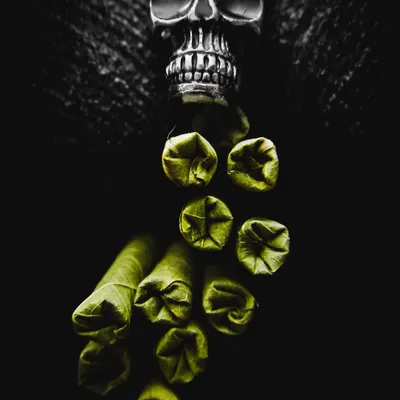 A dark and conceptual shot featuring a skull and rolled leaves. This image is meant to be provocative and artistic, playing with themes of life and death. It's an example of my more edgy, creative work.