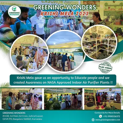 We were thrilled to participate in the Krishi Mela 2023 at the Agriculture University in Bangalore. This collage shows our team interacting with visitors and educating them on the science behind indoor air purifier plants.