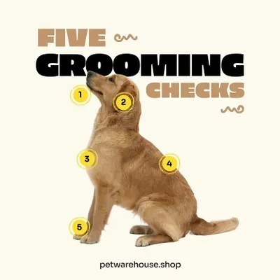 A professional grooming session is also a health check. Our groomers examine five key areas: teeth, ears, skin, coat, and nails, to spot any potential issues early.