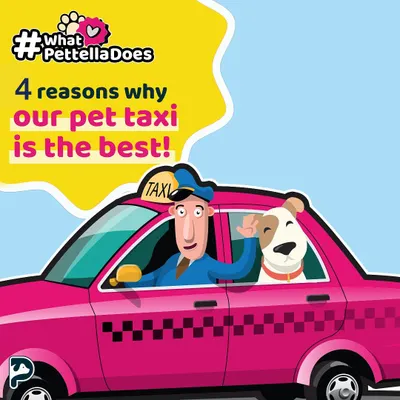 This graphic explains the core benefits of our pet taxi service. We focus on providing a safe, comfortable, and happy ride for your fur baby every single time.