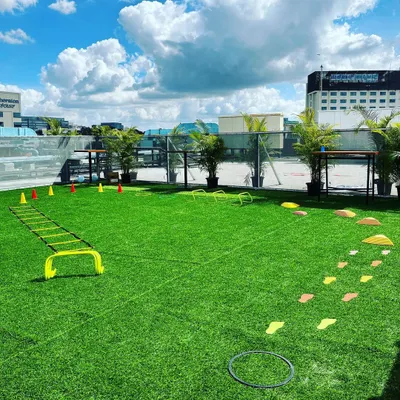 An outdoor agility course set up on an artificial turf field, ready for action. The setup includes an agility ladder, hurdles, and stepping stones to challenge different motor skills.