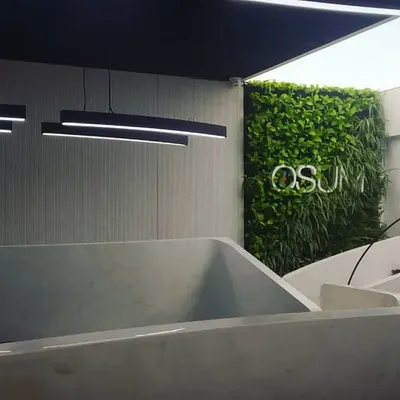 This bio-wall in an office reception creates a powerful first impression. The dense green foliage serves as a natural backdrop for the company logo, blending corporate identity with living design.