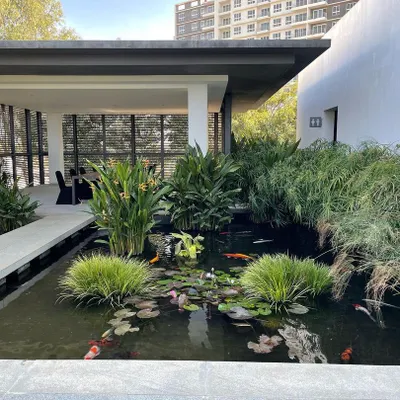 This koi pond is a perfect example of a signature water feature. I designed it to be a complete ecosystem, ensuring water clarity and fish health while creating a peaceful and luxurious focal point for the property.