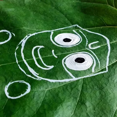 The first step in creating my Pipal leaf art is outlining the iconic form of Lord Jagannath. I use white paint to create a clear guide on the green leaf, ensuring the proportions are perfect before adding color.