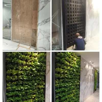 The complete transformation of a corporate office wall in BKC, from a blank wooden panel to a thriving living wall. This collage shows the step-by-step process and the dramatic final result of our live plant installation service.