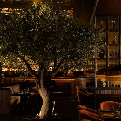An olive tree stands as the soulful centerpiece of the restaurant, its organic form a natural sculpture against the dark, moody interior. The mirrored ceiling reflects the scene, creating an illusion of an endless, enchanted grove.