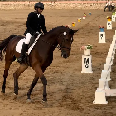 A rider performs a dressage test at the FEI World Dressage Challenge. This image captures the elegance and concentration required for high-level dressage competition.
