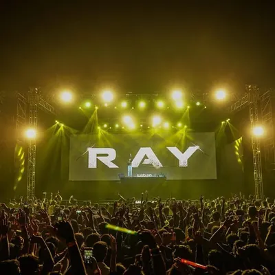 The view from the main stage. A massive crowd, my name in lights, and a sea of hands in the air. This is the ultimate rush.
