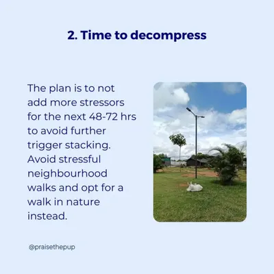 After a stressful event, the best thing we can do is avoid adding more stressors. I opt for quiet decompression walks in nature instead of busy neighborhood streets to help the dog's nervous system recover.