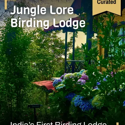 A view of Jungle Lore Birding Lodge, India's first birding lodge, surrounded by lush greenery and blooming hydrangeas in Pangot. Our lodges are designed to be an extension of the natural world around them.