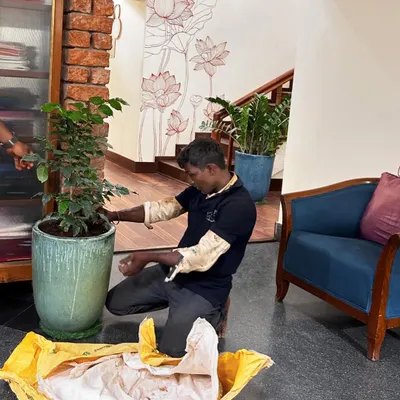 One of our gardeners is carefully potting a plant in a stylish ceramic planter for an indoor setting. We ensure a clean and hassle-free installation process, turning any corner of your home into a botanical feature with vibrant green vibes.
