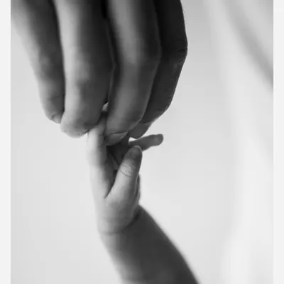 The tiniest grasp. This macro shot of a newborn's hand holding a parent's finger is a powerful, minimalist portrait of trust and connection, made timeless in black and white.