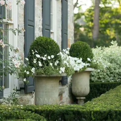 For a classic and formal garden style, we use elements like these elegant stone urns. They are planted with clipped boxwood spheres and trailing white flowers, creating a timeless and sophisticated entrance accent.