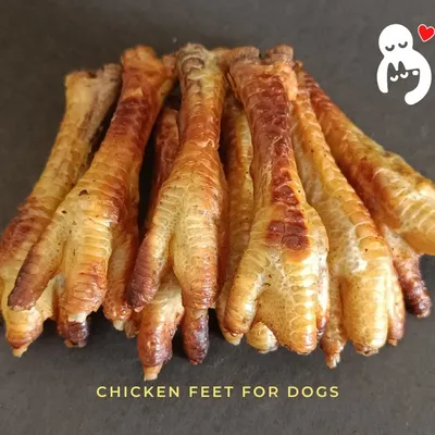 A close-up of our baked chicken feet, a fantastic dental chew for your dog. The natural texture helps scrape away plaque and tartar, and because we bake them, they are a safe and chewy alternative to brittle bones.