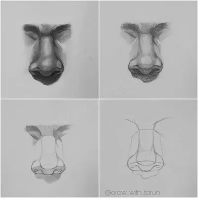 Here are the easy steps to draw a nose, broken down into four stages. We start with simple geometric shapes, refine the structure, and then add shading. This is a core lesson we cover in my beginner workshops.