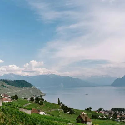 The breathtaking expanse of the Swiss landscape, with its vineyards rolling down to the lake. This is the kind of scenery that becomes a character in your love story.