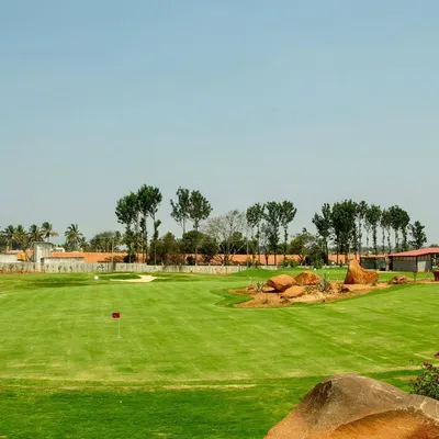 Welcome to our expansive golf practice facility. This view captures our meticulously maintained short game area, designed to feel like a real course and help you perfect your scoring shots.