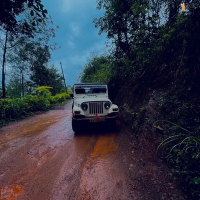 The journey to the top is half the adventure. Our off-road jeep safari in Chikmagalur takes you through rugged, muddy trails surrounded by dense greenery, a thrilling ride to the best viewpoints.